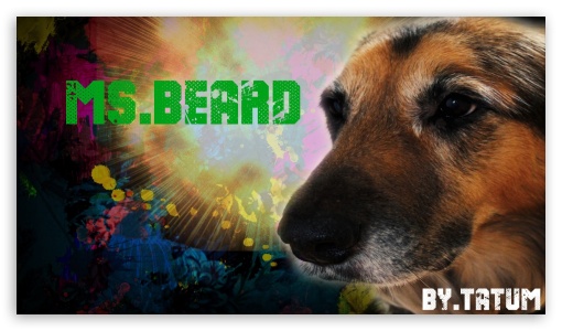 ms.beard UltraHD Wallpaper for HD 16:9 ;