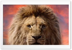Mufasa The Lion King 2024 Film Ultra HD Wallpaper for 4K UHD Widescreen desktop, tablet & smartphone