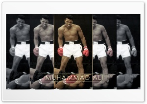 Muhammad Ali 4K UHD Wallpaper for Widescreen and UltraWide Desktop, UltraHD TV, Smartphone, Tablet
