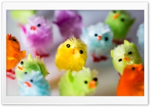 Multi Colored Easter Chicks Ultra HD Wallpaper for 4K UHD Widescreen desktop, tablet & smartphone