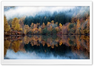 Multicolored Autumn Ultra HD Wallpaper for 4K UHD Widescreen desktop, tablet & smartphone