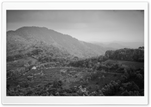 Munnar Mountains Ultra HD Wallpaper for 4K UHD Widescreen desktop, tablet & smartphone
