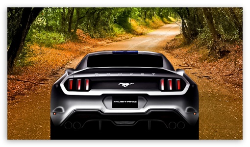 Mustang Fun UltraHD Wallpaper for HD 16:9 ;