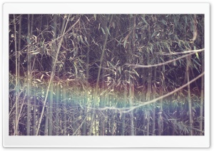Mystic Rainbow Ultra HD Wallpaper for 4K UHD Widescreen desktop, tablet & smartphone