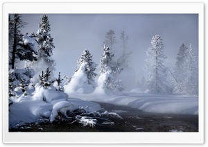 Mystic Winter Ultra HD Wallpaper for 4K UHD Widescreen desktop, tablet & smartphone