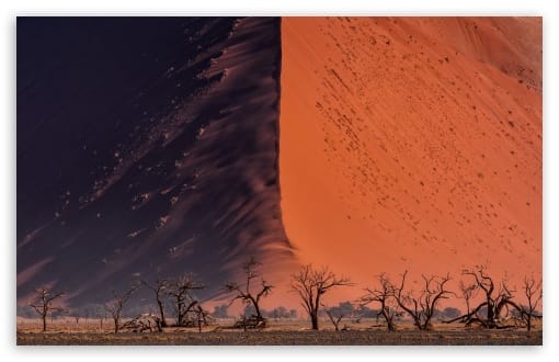 Namib Desert UltraHD Wallpaper for UHD 16:9 ; HD 16:9 ; UltraWide 21:9 24:10 32:9 32:10 ; Widescreen 16:10 ; Tablet 1:1 ; Mobile 9:16 9:19.5 9:20 ; Dual 16:10 16:9 ;