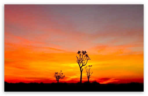 Namibian sundown UltraHD Wallpaper for HD 16:9 ; Widescreen 16:10 5:3 ;