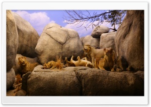 Natural History Museum In Los Angeles Ultra HD Wallpaper for 4K UHD Widescreen desktop, tablet & smartphone
