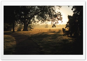 Natural Landscape Ultra HD Wallpaper for 4K UHD Widescreen desktop, tablet & smartphone
