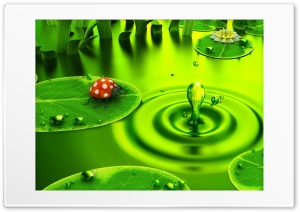 Natural pond wallpaper Ultra HD Wallpaper for 4K UHD Widescreen desktop, tablet & smartphone