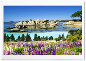 Nature 001 4K UHD Wallpaper for Widescreen and UltraWide Desktop, UltraHD TV, Smartphone, Tablet