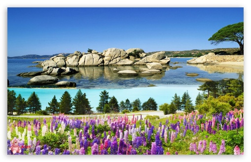 Nature 001 UltraHD Wallpaper for Widescreen 16:10 ;