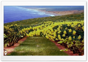 Nature 002 4K UHD Wallpaper for Widescreen and UltraWide Desktop, UltraHD TV, Smartphone, Tablet