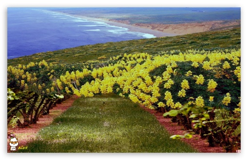 Nature 002 UltraHD Wallpaper for Widescreen 16:10 ;