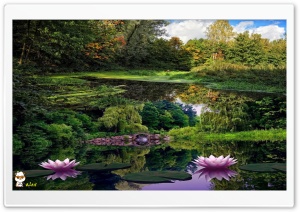 Nature 003 4K UHD Wallpaper for Widescreen and UltraWide Desktop, UltraHD TV, Smartphone, Tablet