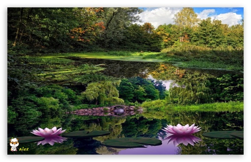 Nature 003 UltraHD Wallpaper for Widescreen 16:10 ;