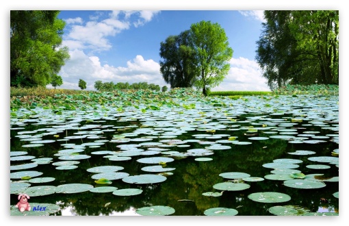 Nature 004 UltraHD Wallpaper for Widescreen 16:10 ;