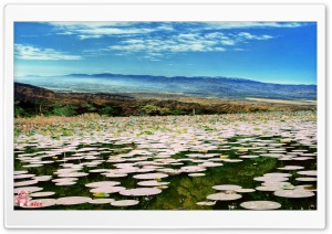 Nature 006 4K UHD Wallpaper for Widescreen and UltraWide Desktop, UltraHD TV, Smartphone, Tablet