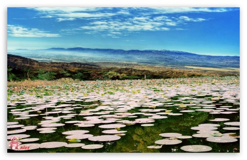 Nature 006 UltraHD Wallpaper for Widescreen 16:10 ;