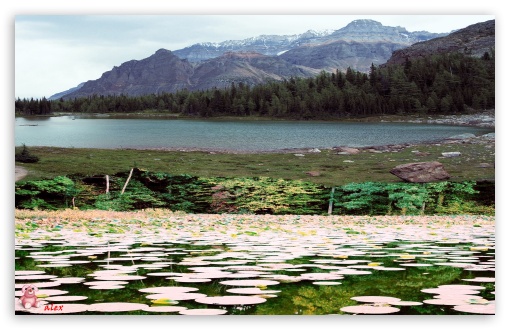 Nature 007 UltraHD Wallpaper for Widescreen 16:10 ;