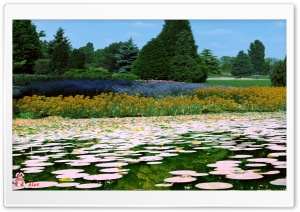 Nature 008 4K UHD Wallpaper for Widescreen and UltraWide Desktop, UltraHD TV, Smartphone, Tablet