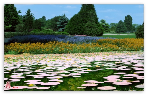 Nature 008 UltraHD Wallpaper for Widescreen 16:10 ;