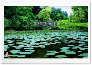 Nature 009 4K UHD Wallpaper for Widescreen and UltraWide Desktop, UltraHD TV, Smartphone, Tablet