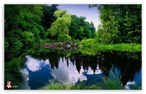 Nature 010 UltraHD Wallpaper for Widescreen 16:10 ;