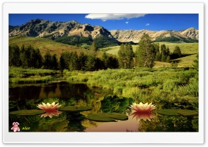 Nature 011 4K UHD Wallpaper for Widescreen and UltraWide Desktop, UltraHD TV, Smartphone, Tablet