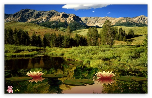 Nature 011 UltraHD Wallpaper for Widescreen 16:10 ;