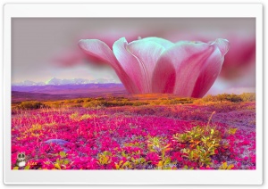 Nature 016 4K UHD Wallpaper for Widescreen and UltraWide Desktop, UltraHD TV, Smartphone, Tablet