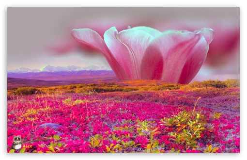 Nature 016 UltraHD Wallpaper for Widescreen 16:10 ;