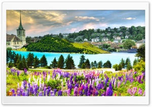 Nature 040 4K UHD Wallpaper for Widescreen and UltraWide Desktop, UltraHD TV, Smartphone, Tablet