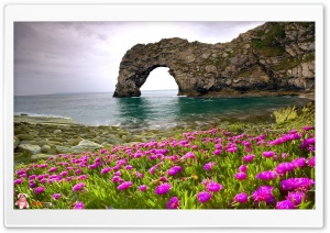 Nature 047 4K UHD Wallpaper for Widescreen and UltraWide Desktop, UltraHD TV, Smartphone, Tablet