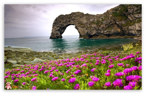 Nature 047 UltraHD Wallpaper for Widescreen 16:10 ;