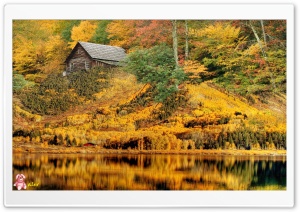 Nature 050 4K UHD Wallpaper for Widescreen and UltraWide Desktop, UltraHD TV, Smartphone, Tablet