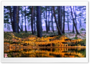 Nature 051 4K UHD Wallpaper for Widescreen and UltraWide Desktop, UltraHD TV, Smartphone, Tablet