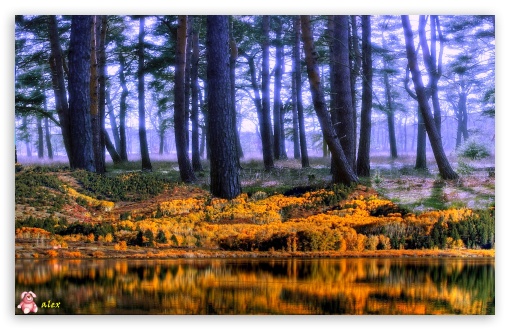 Nature 051 UltraHD Wallpaper for Widescreen 16:10 ;