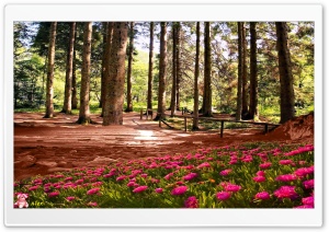 Nature 052 4K UHD Wallpaper for Widescreen and UltraWide Desktop, UltraHD TV, Smartphone, Tablet