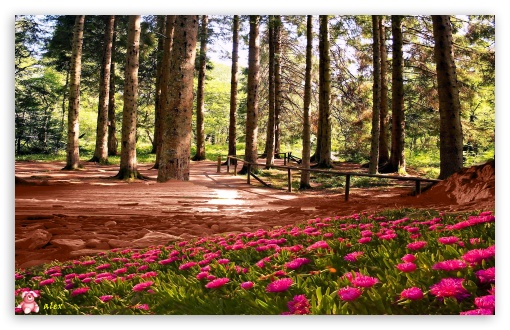 Nature 052 UltraHD Wallpaper for Widescreen 16:10 ;