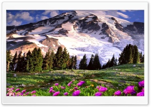 Nature 053 4K UHD Wallpaper for Widescreen and UltraWide Desktop, UltraHD TV, Smartphone, Tablet