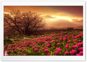 Nature 054 4K UHD Wallpaper for Widescreen and UltraWide Desktop, UltraHD TV, Smartphone, Tablet