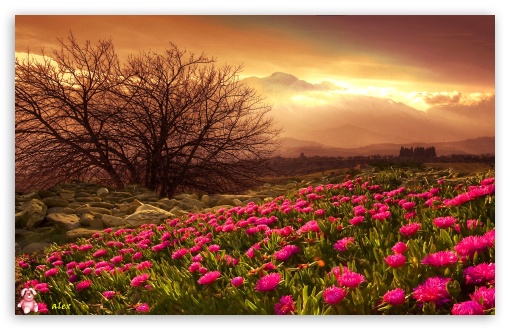 Nature 054 UltraHD Wallpaper for Widescreen 16:10 ;