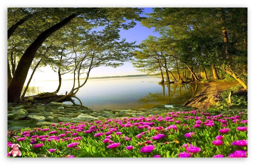 Nature 055 UltraHD Wallpaper for Widescreen 16:10 ;