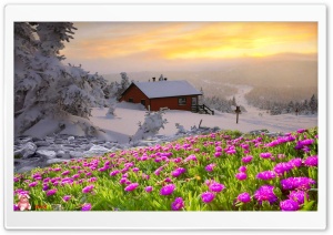 Nature 056 4K UHD Wallpaper for Widescreen and UltraWide Desktop, UltraHD TV, Smartphone, Tablet