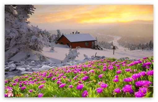 Nature 056 UltraHD Wallpaper for Widescreen 16:10 ;