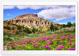 Nature 058 4K UHD Wallpaper for Widescreen and UltraWide Desktop, UltraHD TV, Smartphone, Tablet