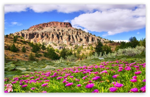 Nature 058 UltraHD Wallpaper for Widescreen 16:10 ;