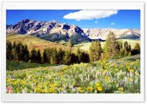 Nature 077 4K UHD Wallpaper for Widescreen and UltraWide Desktop, UltraHD TV, Smartphone, Tablet