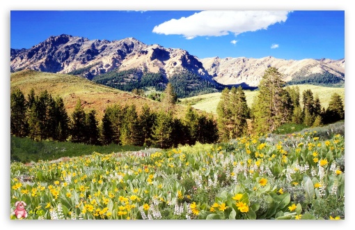 Nature 077 UltraHD Wallpaper for Widescreen 16:10 ;